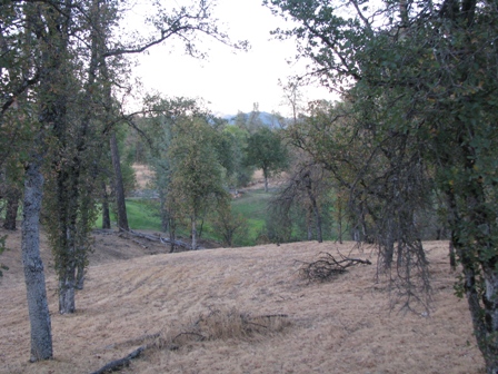  CA